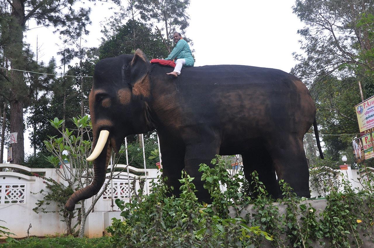 P A Resort Kolli Hills Exterior photo