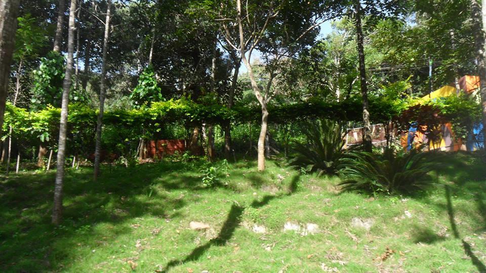 P A Resort Kolli Hills Exterior photo